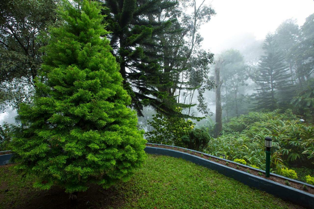 Bracknell Forest Munnar Buitenkant foto
